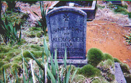 tombstonealexanderiida tombstonealexanderiida